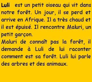 Zone de Texte: Luli  est un petit oiseau qui vit dans notre fort. Un jour, il se perd et arrive en Afrique. Il a trs chaud et il est puis. Il rencontre Maluri, un petit garon.Maluri de connat pas la fort, il demande  Luli de lui raconter comment est sa fort. Luli lui parle des arbres et des animaux.