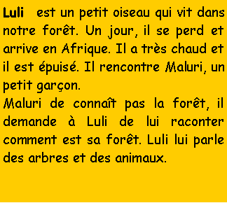 Zone de Texte: Luli est un petit oiseau qui vit dans notre forêt. Un jour, il se perd et arrive en Afrique. Il a très chaud et il est épuisé. Il rencontre Maluri, un petit garçon.?Maluri de connaît pas la forêt, il demande à Luli de lui raconter comment est sa forêt. Luli lui parle des arbres et des animaux.?
